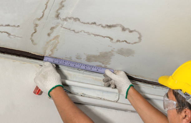 Reliable Burst Pipe Cleanup contractor in Amenia, ND by Water Damage Irwin